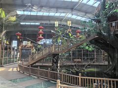 -南宫五洲植物乐园