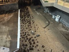 -元代水闸遗址博物馆