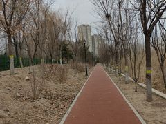 -永定河休闲森林公园