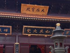 -亭林园-华藏寺