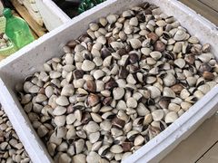 -丰尔粥食·粥底火锅(大良总店)