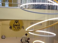 -勇气斑马·巴西柔术&跆拳道(浦东三林店)