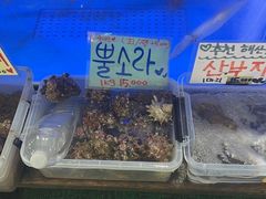 -西归浦每天偶来市场