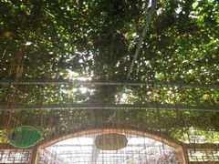 -兰陵国家农业公园