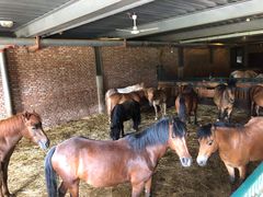 -酷鱼垂钓CLUB(朝阳区博大路店 )