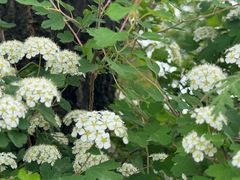 -潭柘厚院(桑峪村店)