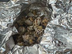 -荔城生鲜盛宴(番禺旗舰店)