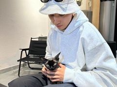 -琪喵猫屋·撸猫猫咖·猫舍