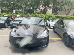 -TESLA 特斯拉(深圳观澜特斯拉直营钣喷中心)