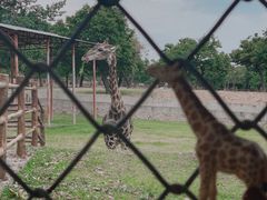 -西安秦岭野生动物园