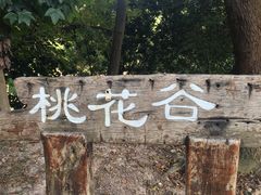-中山市树木园