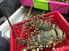 -拉威海鲜市场