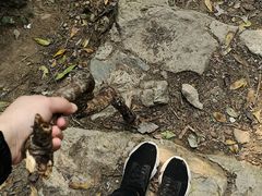 -七娘山