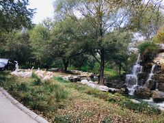 -北京野生动物园