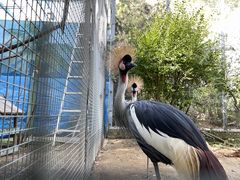 -济南野生动物世界