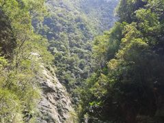-武陵山森林公园