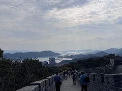 -黄贤森林公园
