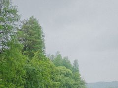 -东湖落雁景区