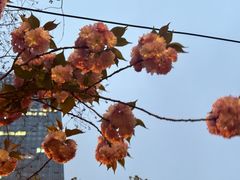 -天鹅湖体育公园