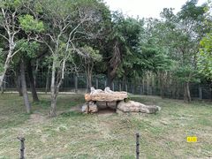 -上海野生动物园