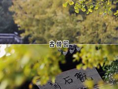 -南翔古镇