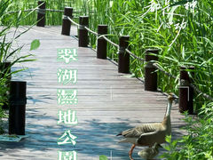 -翠湖国家城市湿地公园