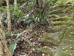 -浮山风景名胜区