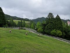 -神户市立六甲山牧场