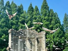 -WeLope紫金山探险公园