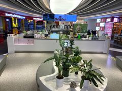 -茶芭蕾·新疆酸奶(美美1店)