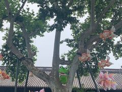 -钱王祠