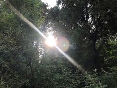 -原山国家森林公园