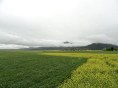 -扁都口生态休闲旅游区