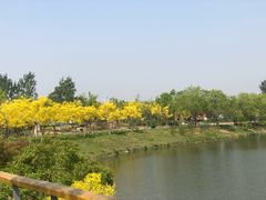 -东郊湿地公园