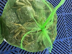 -新农都水产市场