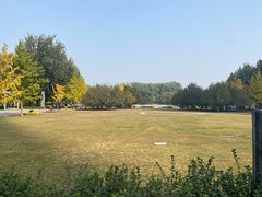 -大望京公园