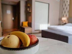 -惠州康帝国际酒店