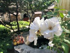 -云峰山自然风景区