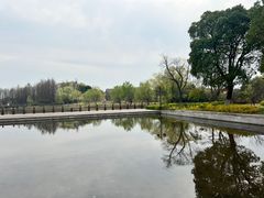 -苏州太湖国家湿地公园