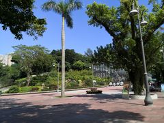 -石排湾郊野公园