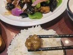 -邵年鸽(杨庄店)