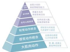 -多特儿童专注力·感统训练·注意力提升培训(锦峰训练中心)