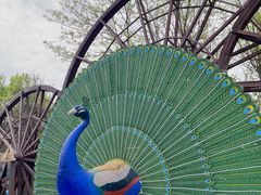 -呀路古热带植物园