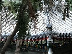 -香山公园