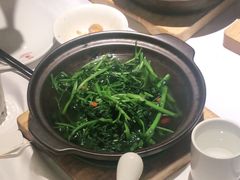 -尚一汤 广东炖汤(金桥国际店)