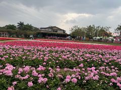 -盈香心动乐园