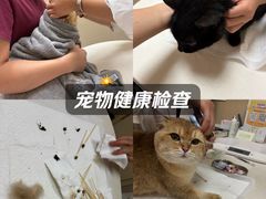 -瑞鹏宠物医院·超声·骨科·奇麟分院(蜀都万达店)