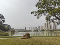 -美的鹭湖森林度假区