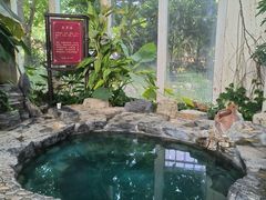 -中家鑫园温泉酒店鑫悦汤泉