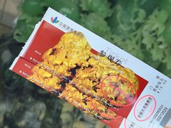 -中国地质博物馆
